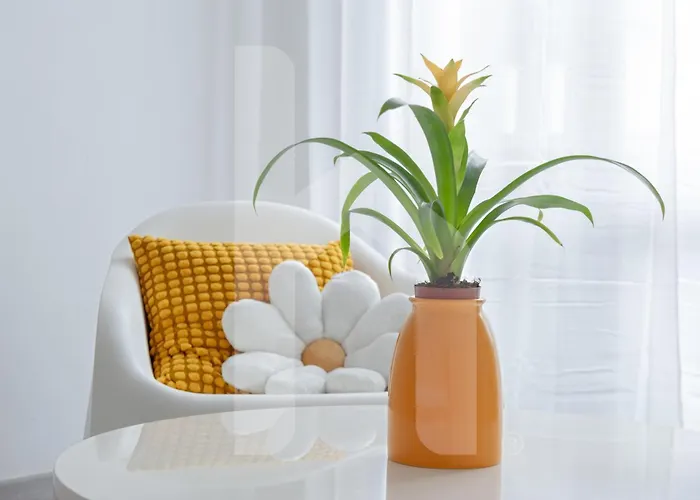 Homiday - Yellow Sea