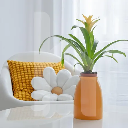 Homiday - Yellow Sea